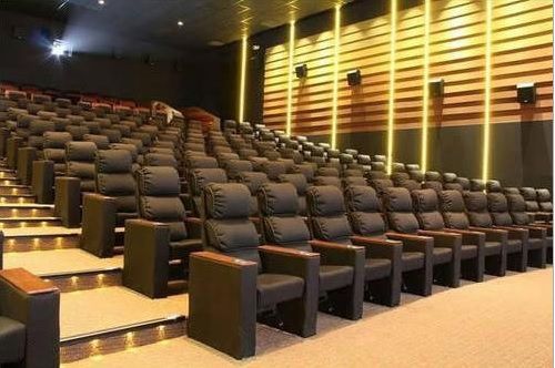 Multiplex Cinema Chair – Model BW-MPX-04 by Brandwave Furniture