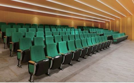 Multiplex Cinema Chair – Model BW-MPX-06 by Brandwave Furniture