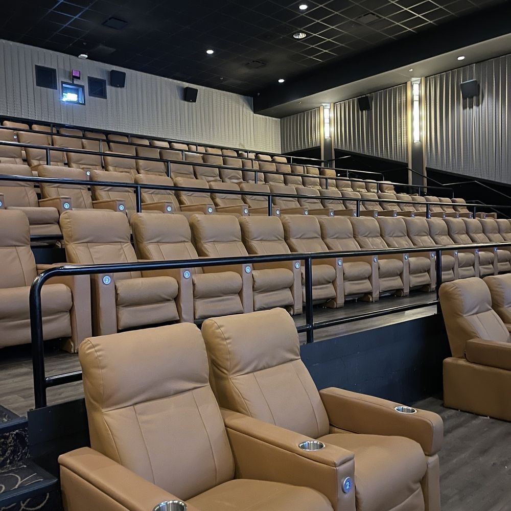 Multiplex Cinema Chair – Model BW-MPX-08 by Brandwave Furniture